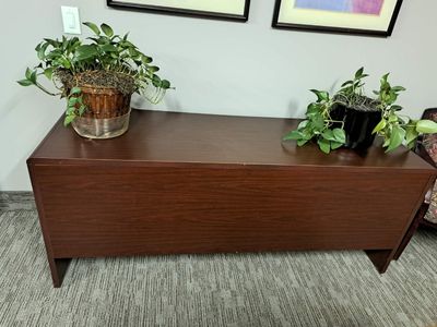 Law office credenza