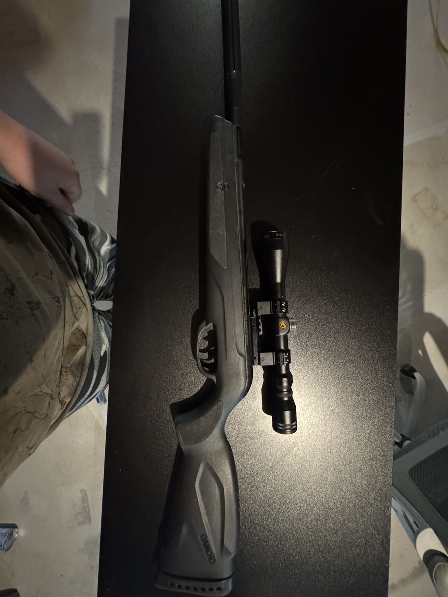 Gamo wildcat whisperer pellet gun