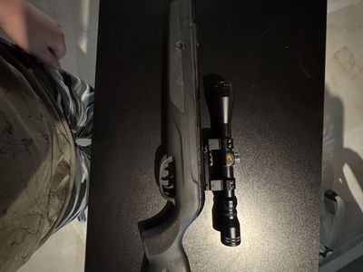 Gamo wildcat whisperer pellet gun