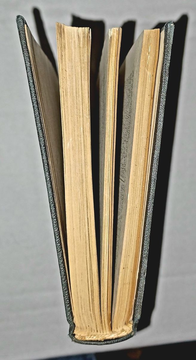 Main image 6
