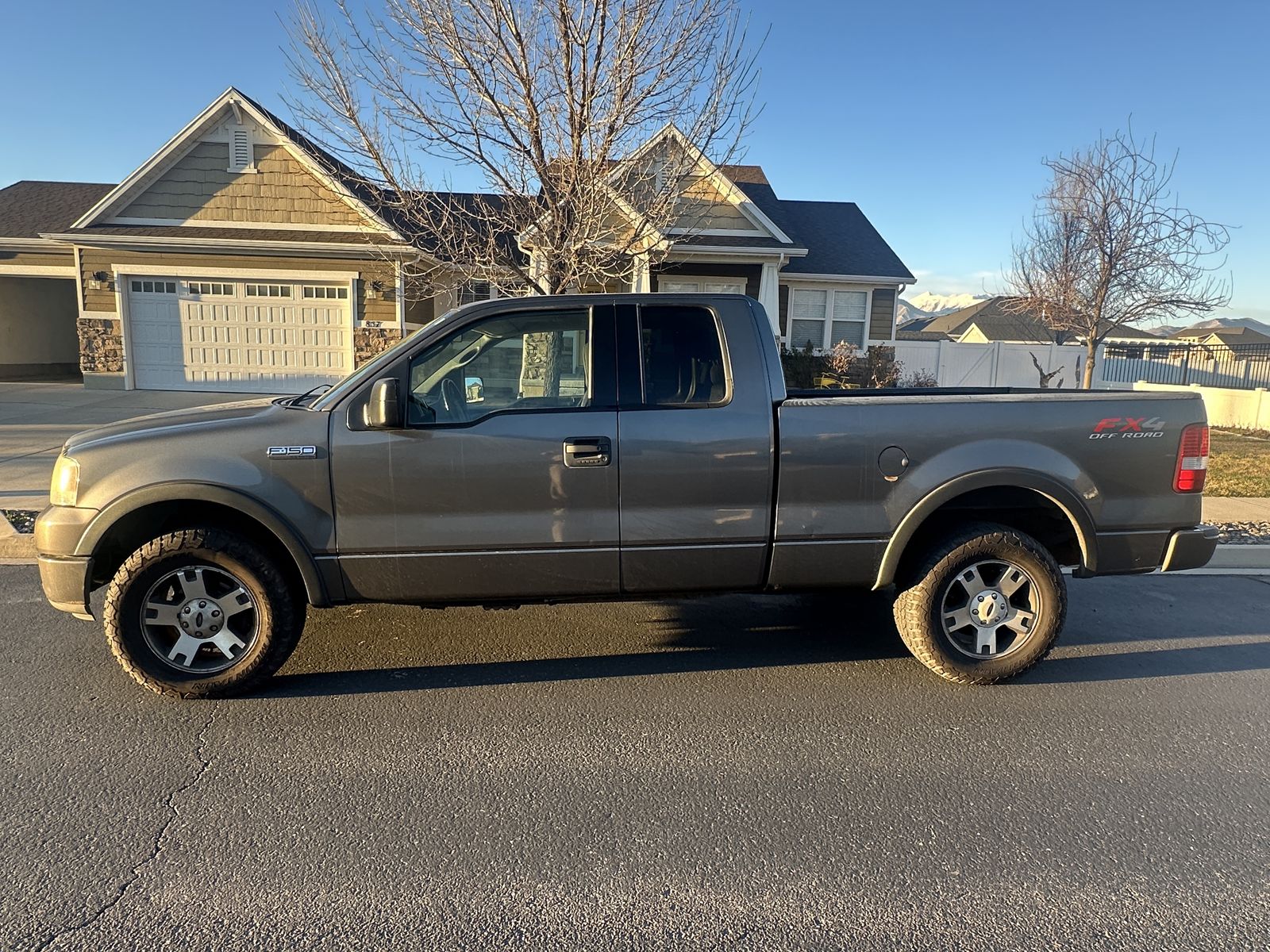 2004 FORD F150 FX4
