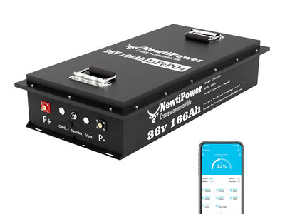 Newtipower Bluetooth 36V 166Ah Golf Cart LiFePO4 Lithium Battery 200A BMS 10 KW