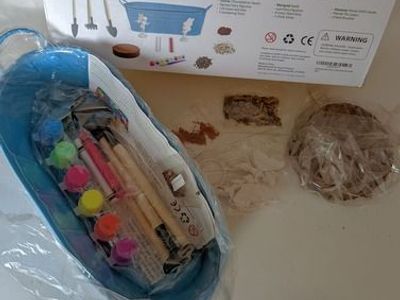 DYI: Paint, Plant & Grow Fairy Garden Flower Kit