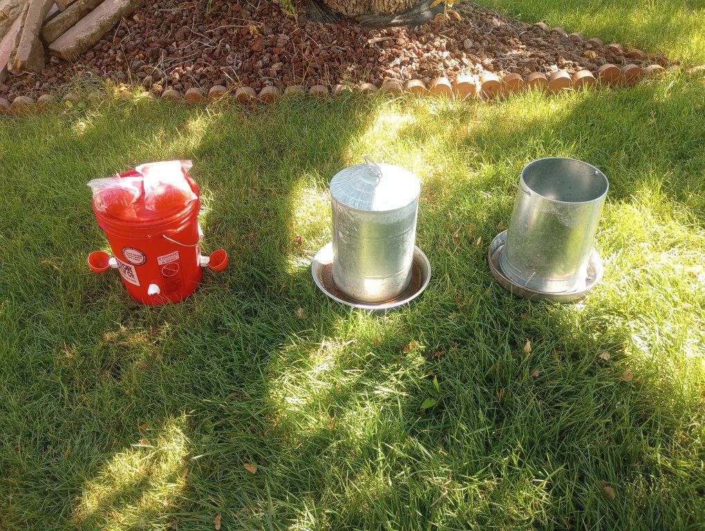 Used Chicken Feeder, Waterer, & Galvanized Feeder - Backyard Poultry Starter Kit