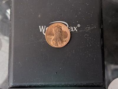 I have a few of some extremely rare pennies I would like to sell to someone who will take good care of them.