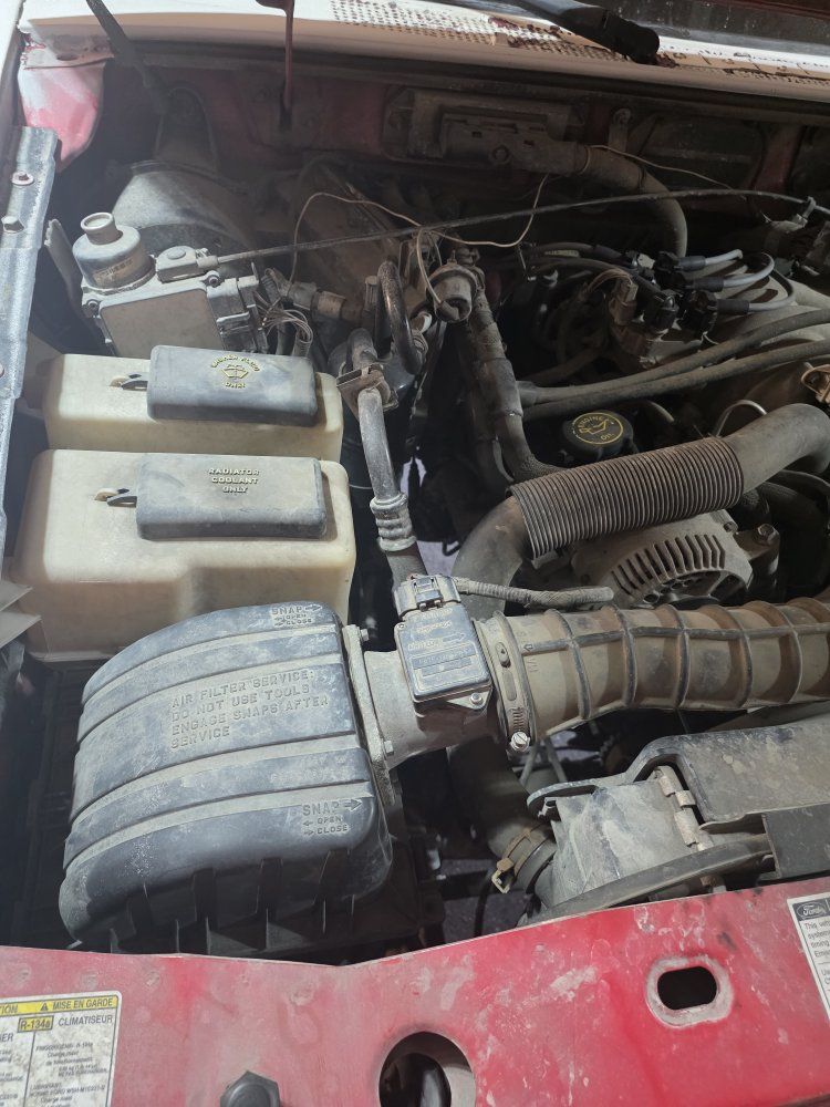 Main image 5