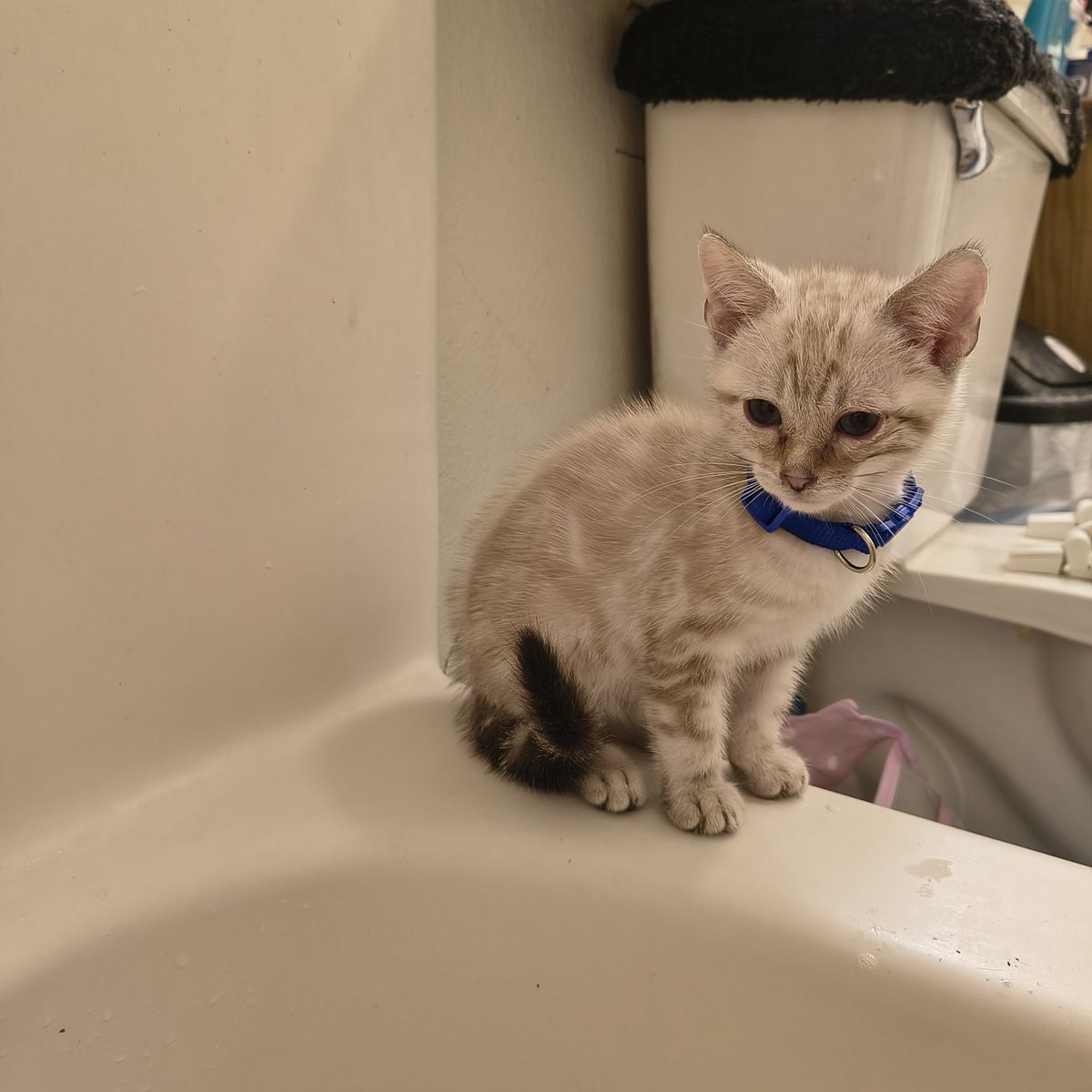 Main image 13
