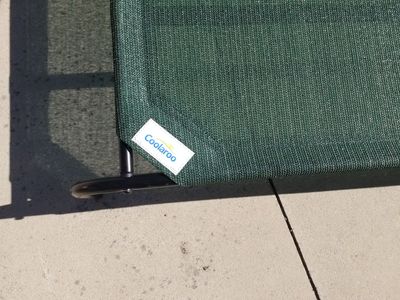 Extra Large Dog Raised Bed