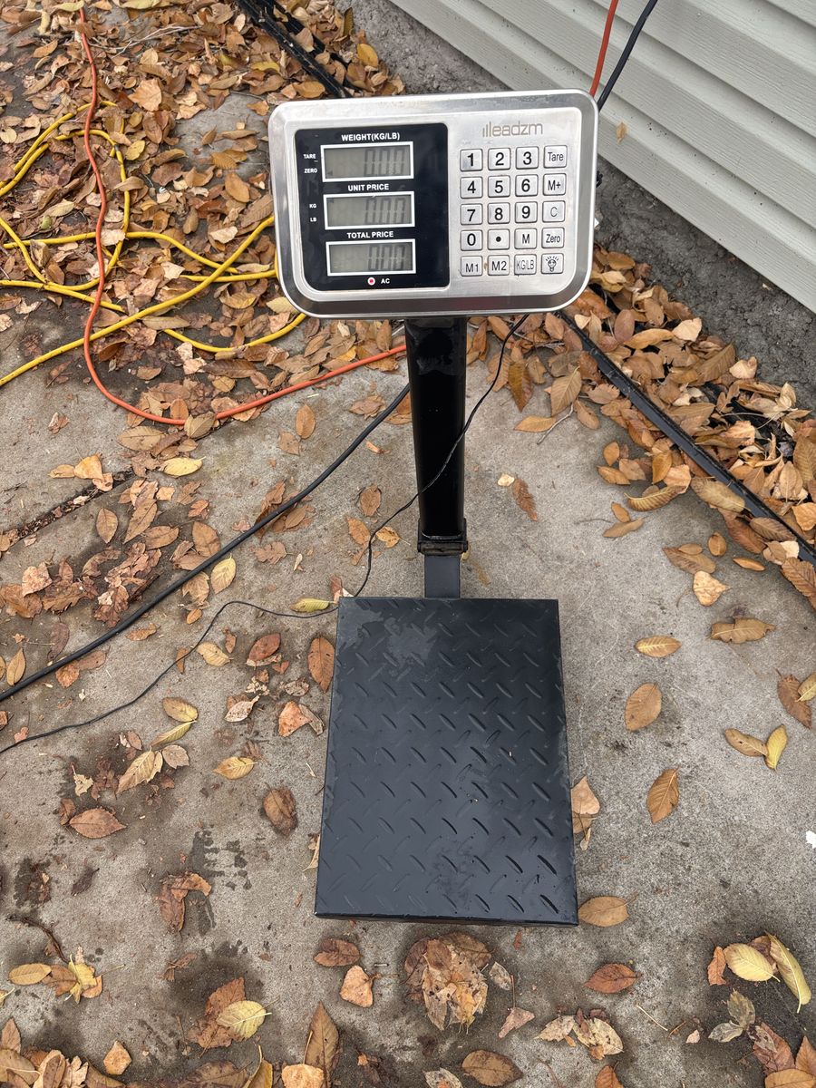 Scale Electronic Computing Digital Platform Scale, 220 lbs Load
