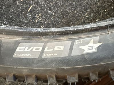 Schwalbe Evolution LiteSkin PaceStar MTB Tire - almost new
