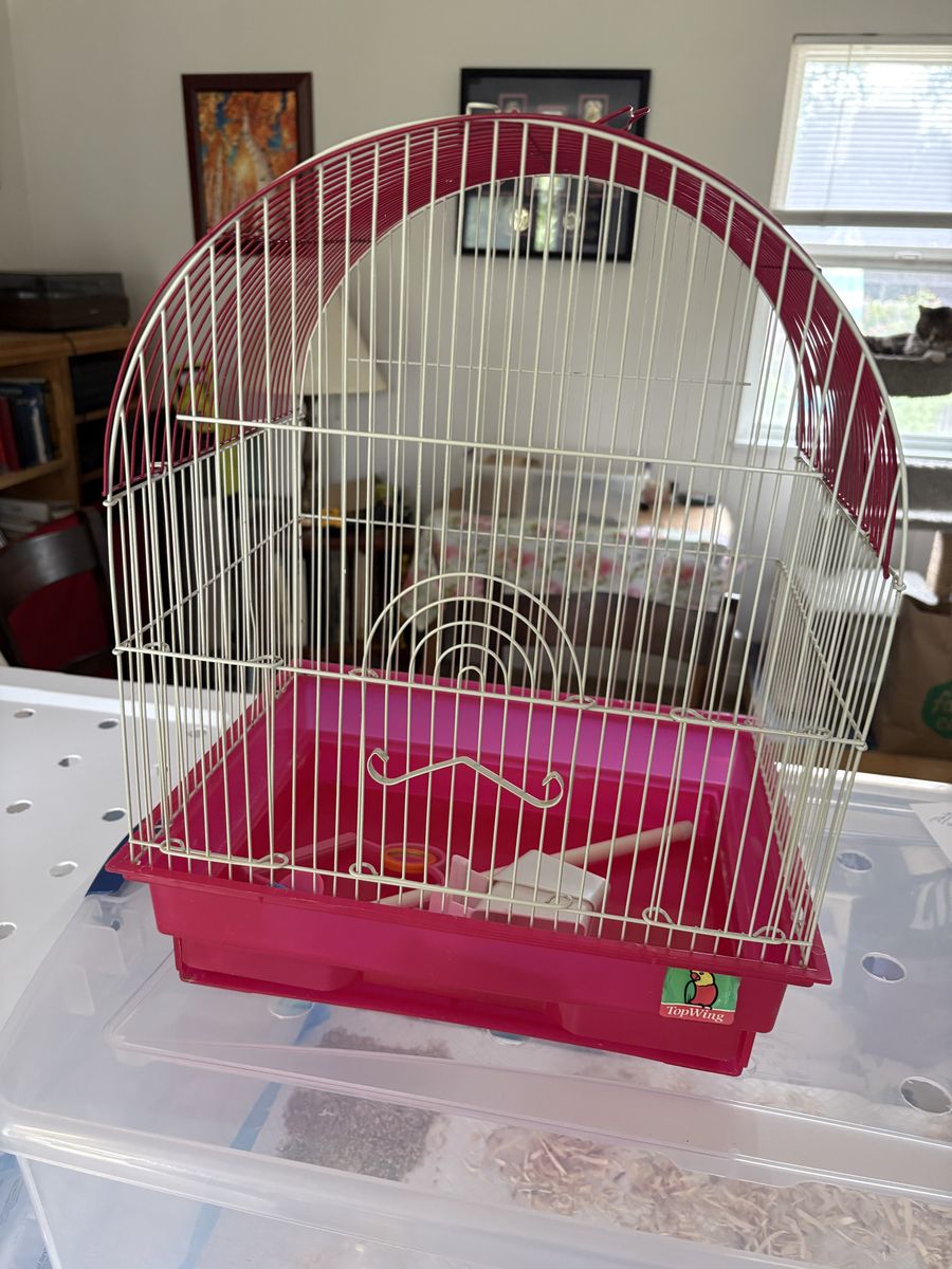 Bird Cage