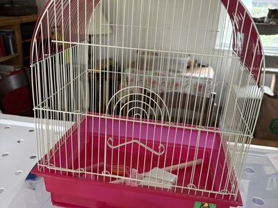 Bird Cage