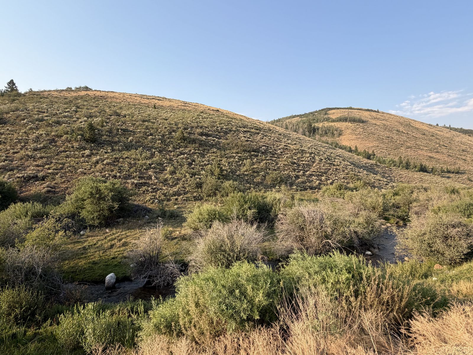 Main image 10