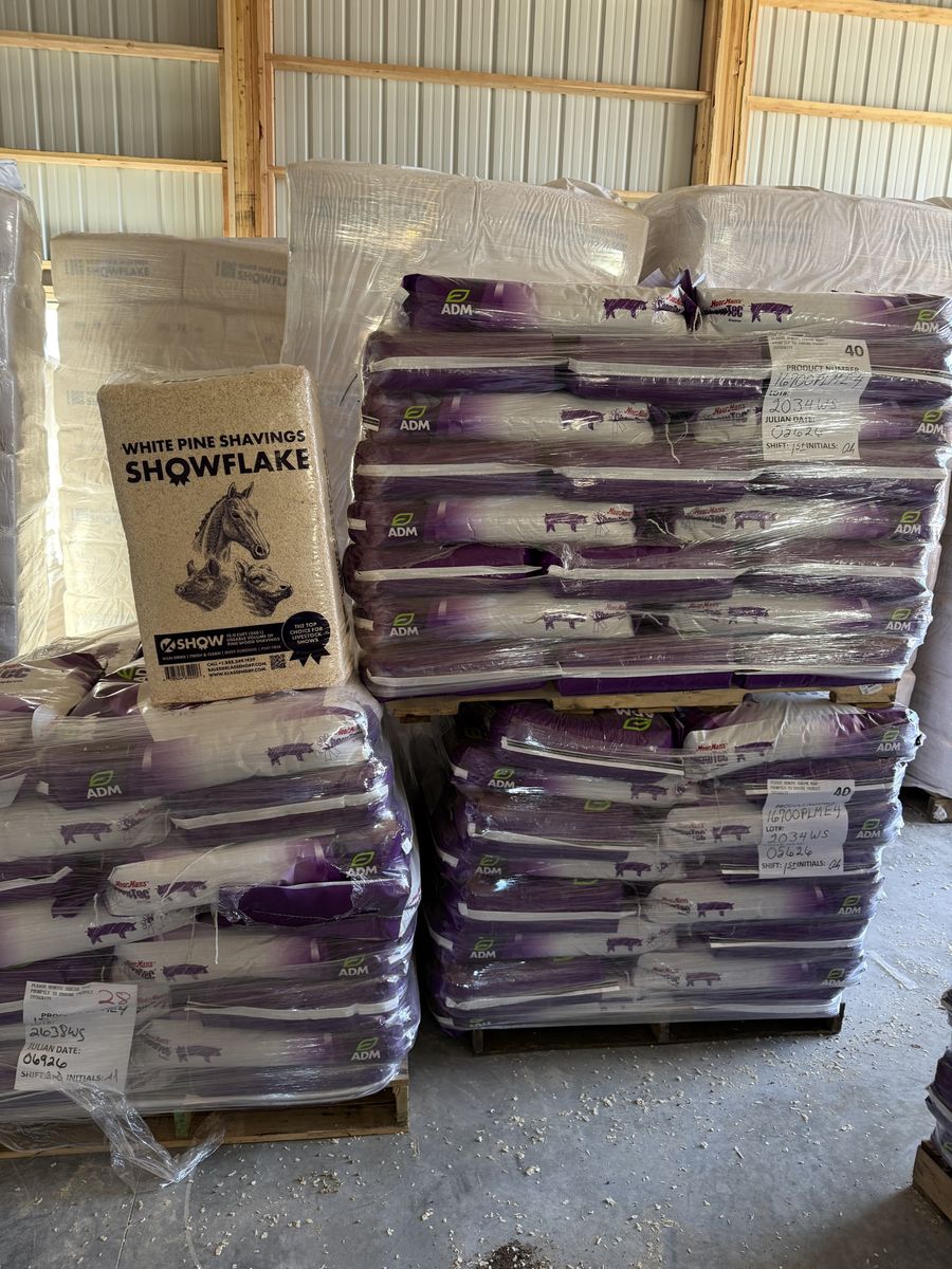 Swine Show Feed And shavings