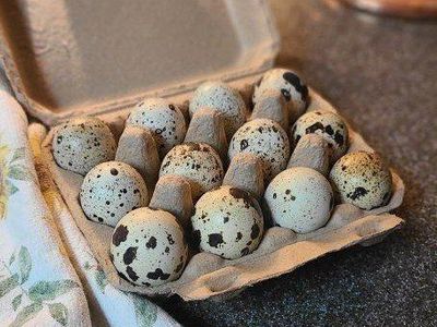 Jumbo Quail Eggs