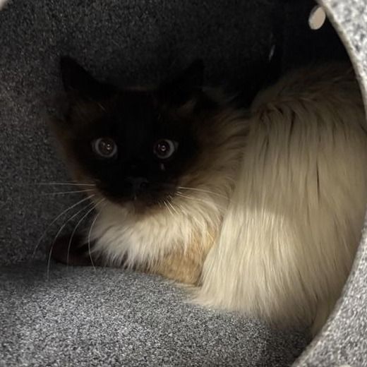 Hello my name is Dawn