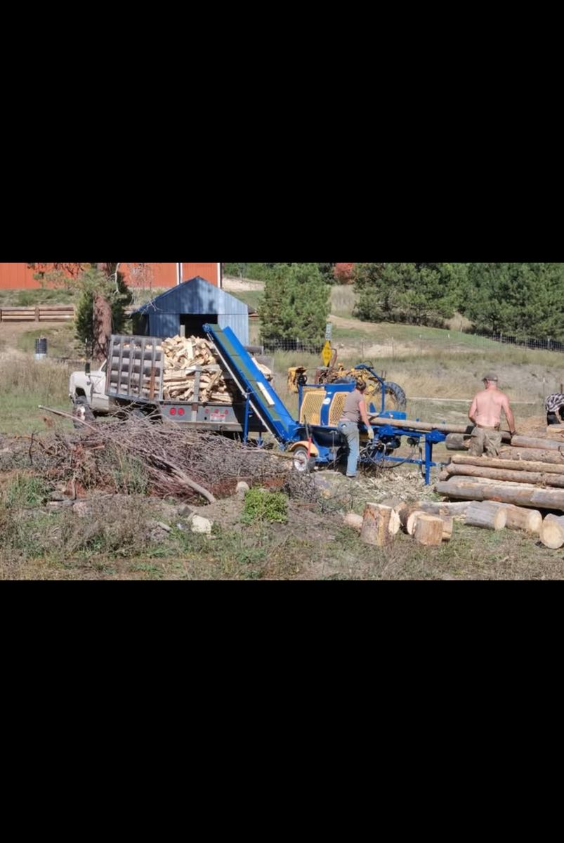 Firewood processor EcoPro300 with Hydraulic infeed