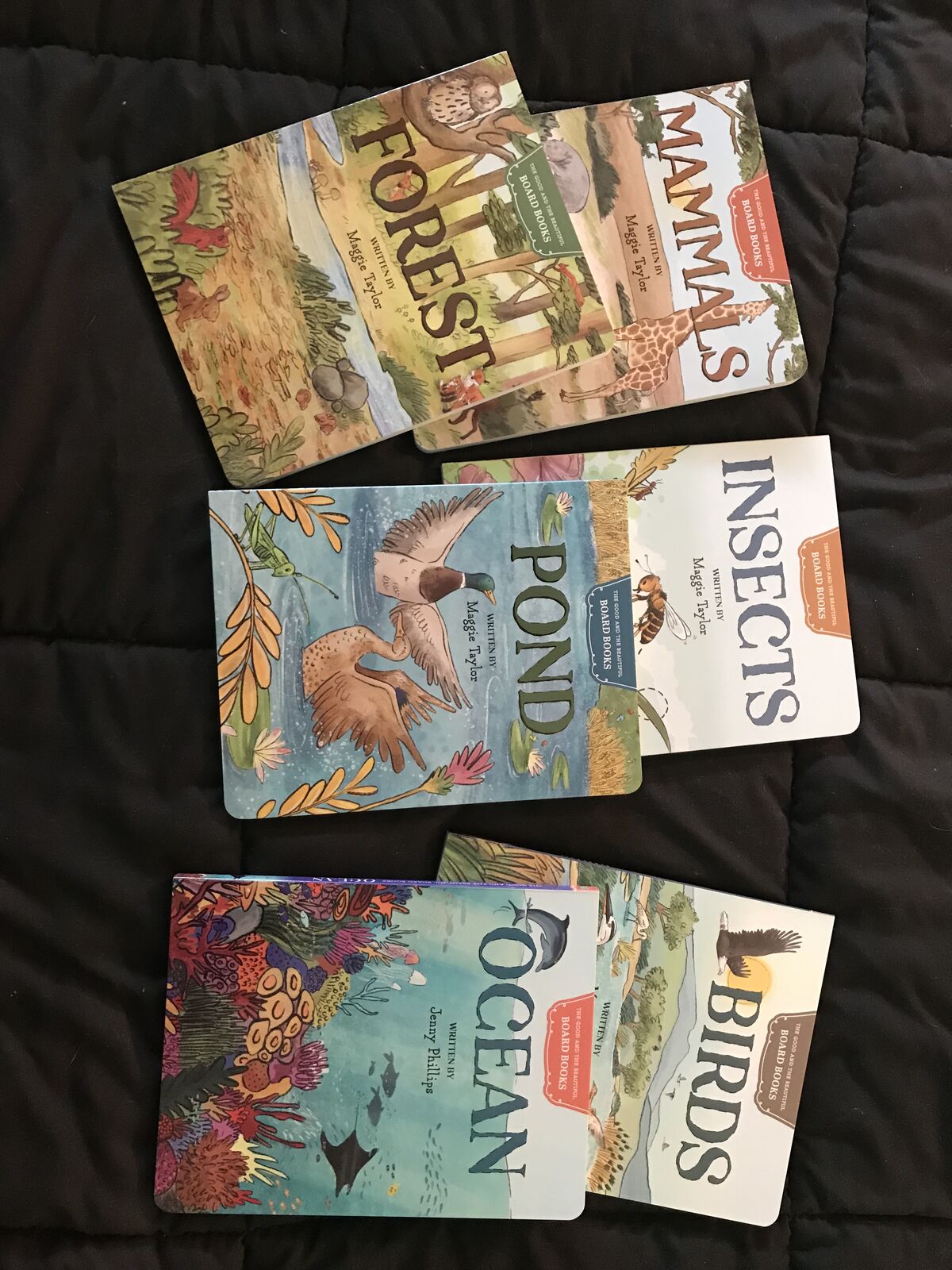 The Good and the Beautiful Board Books