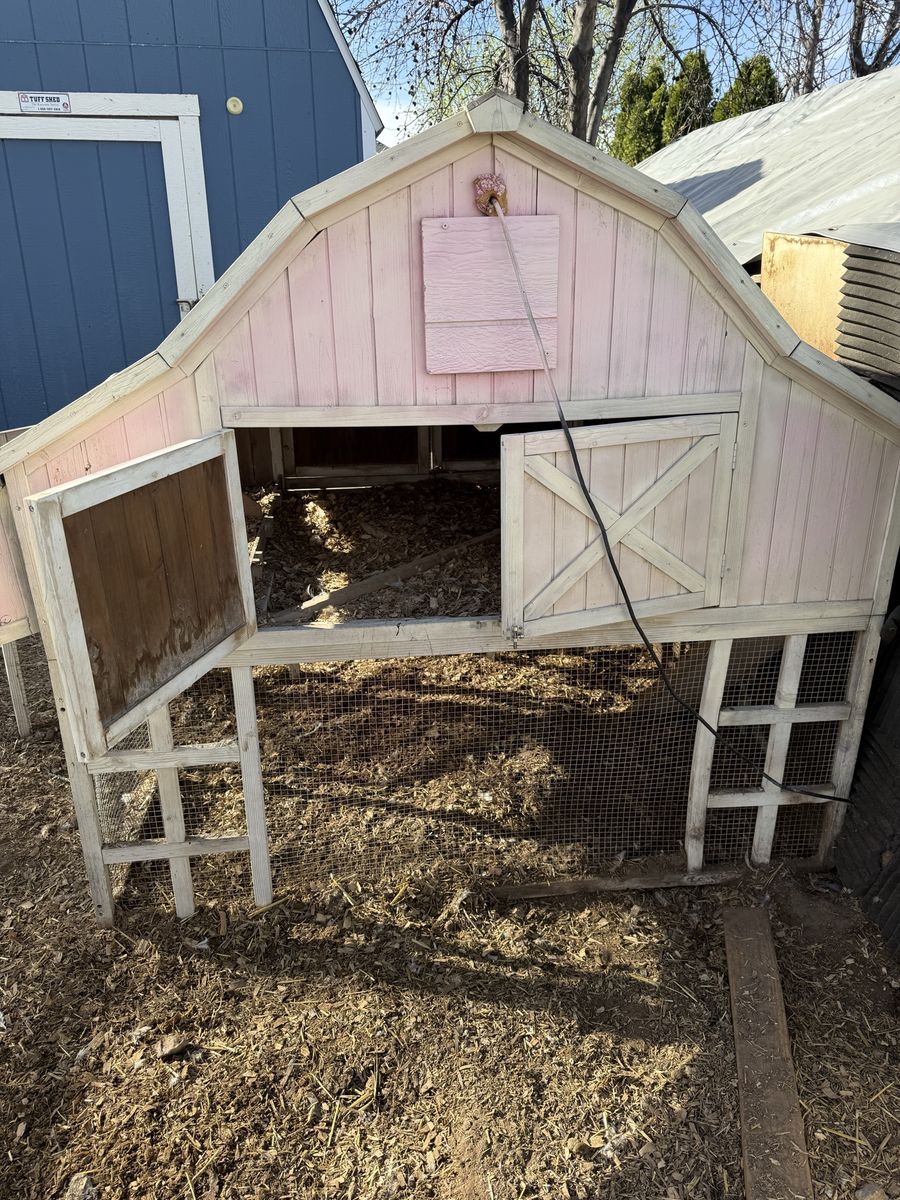 Chicken Coop