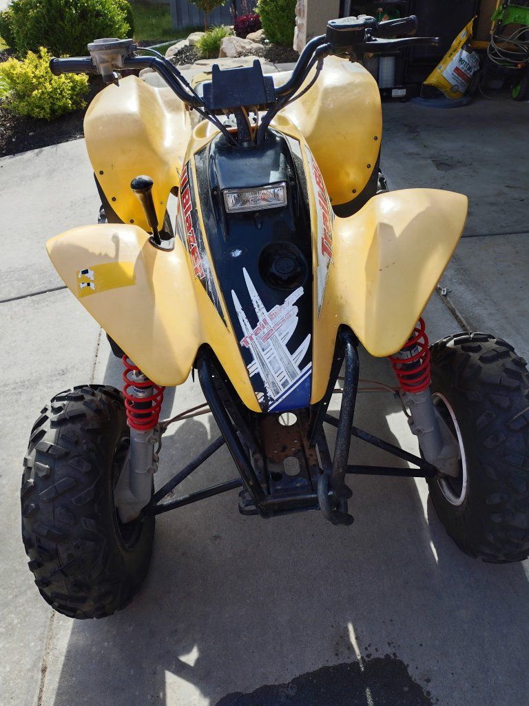 2002 Polaris Trailblazer 250