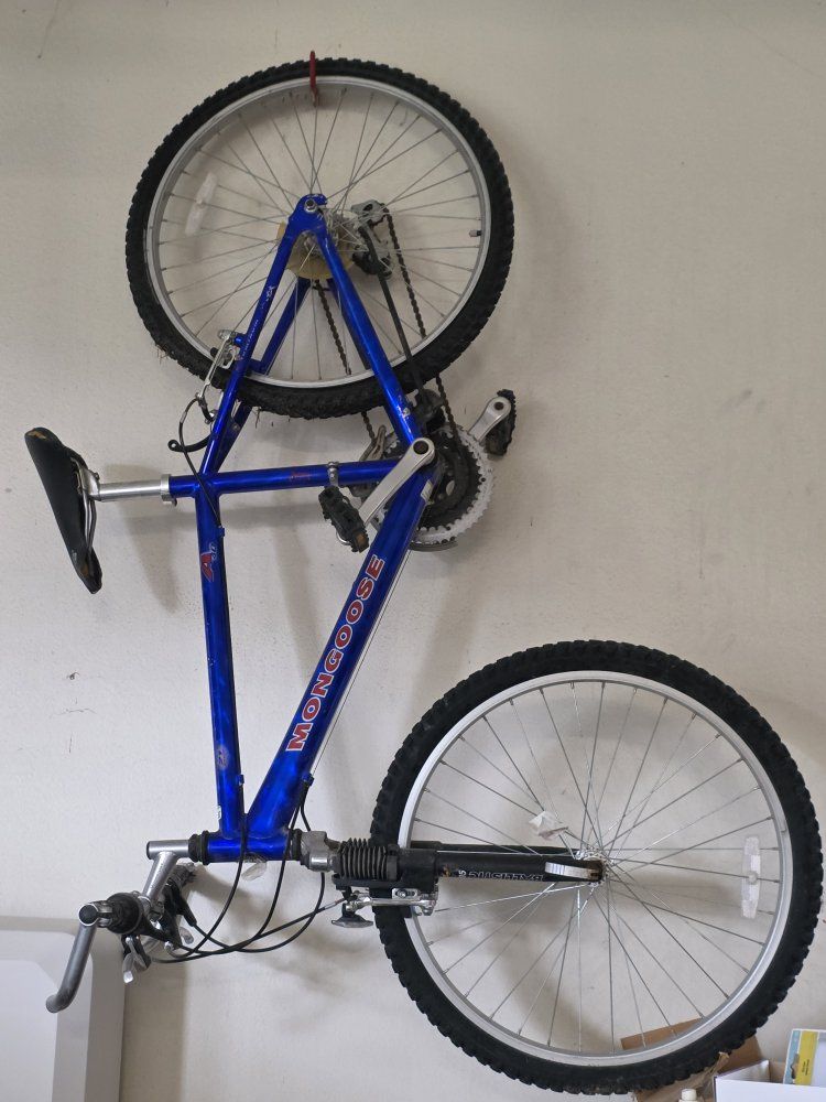 Junior Size Bike For Sale Mongoose N40
