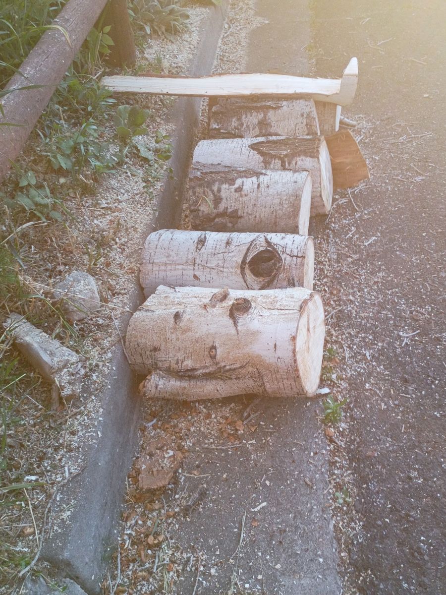 Free dry firewood cut ready