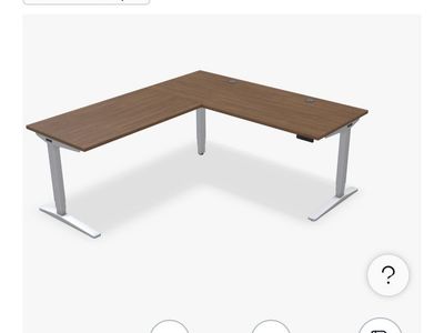 Premium Electric Standing Desk