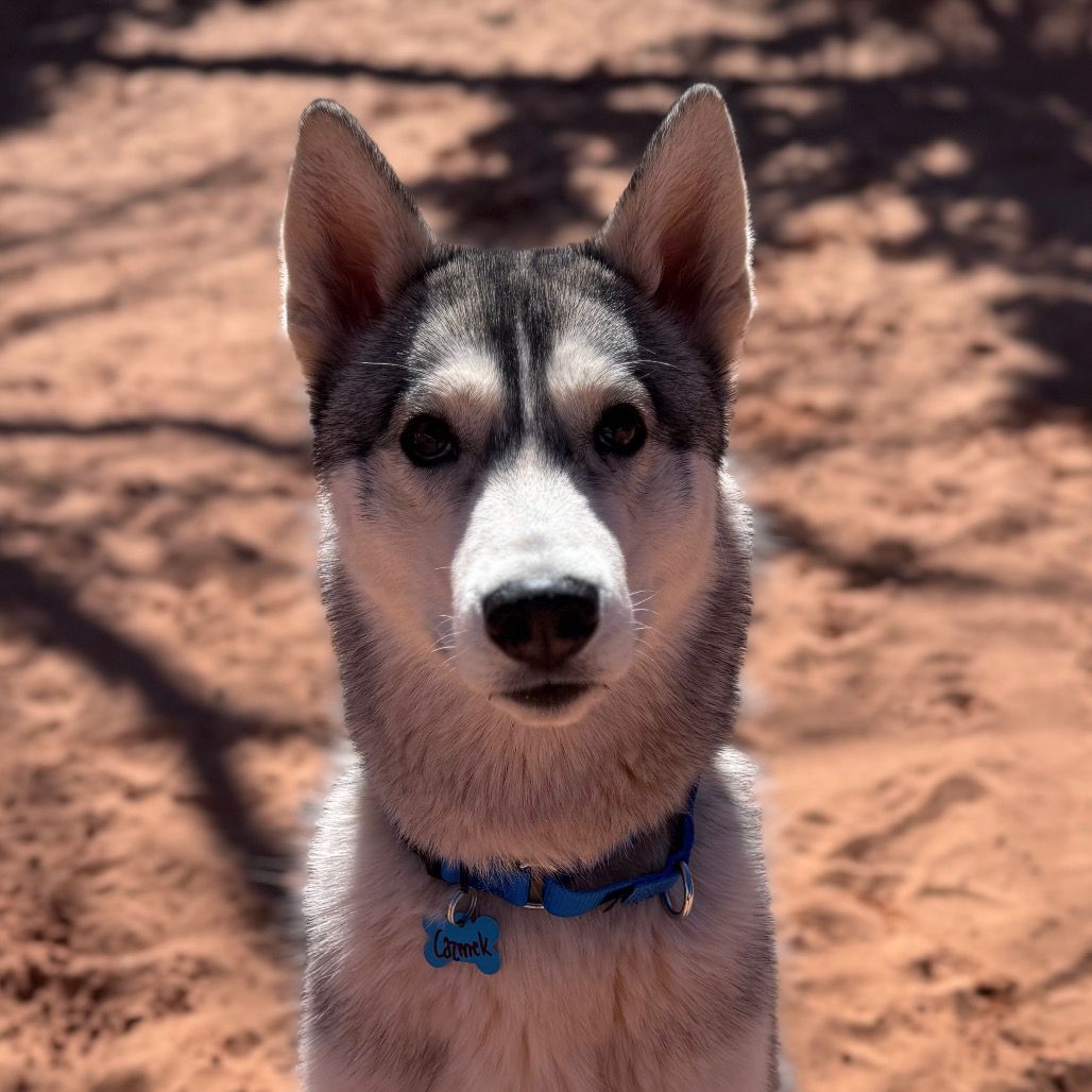 Hello my name is Cazmek