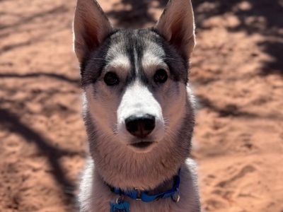 Hello my name is Cazmek