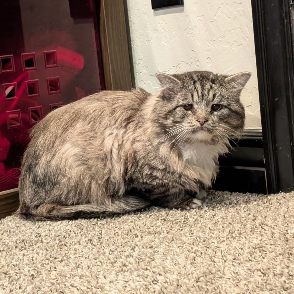 Hello my name is King Oliver