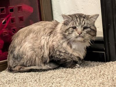 Hello my name is King Oliver