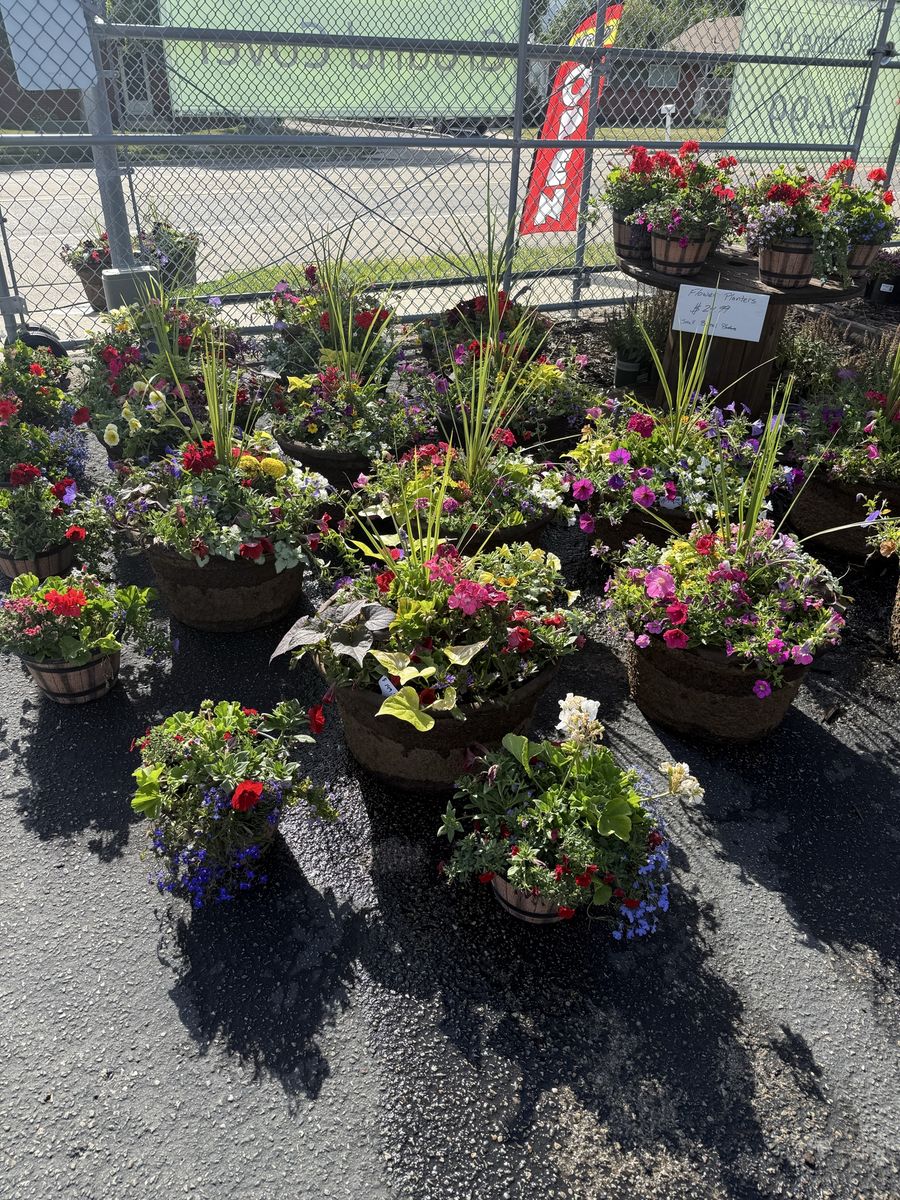 20% off all hanging baskets and planters
