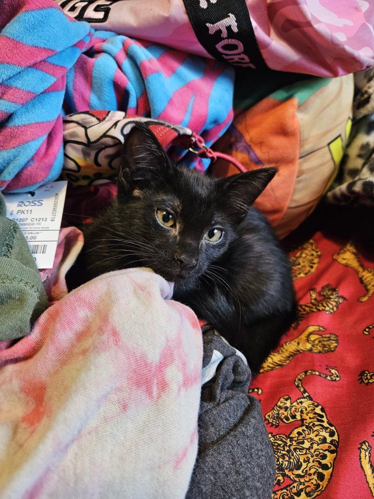 Main image 15