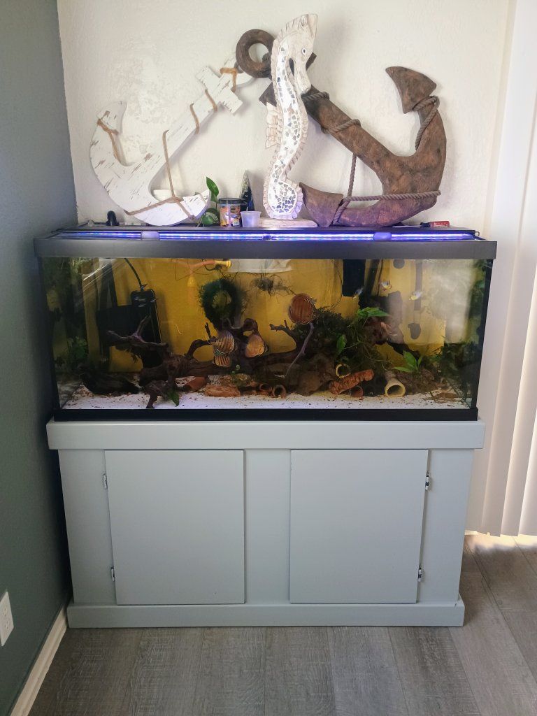 75 gallons fish tank