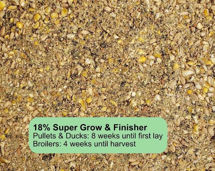 18% Pullet Grower/Rooster Feed/Broiler Finisher 50lb bag