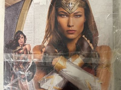 Batman v Superman Wonder Woman Adult Costume Accessory Kit