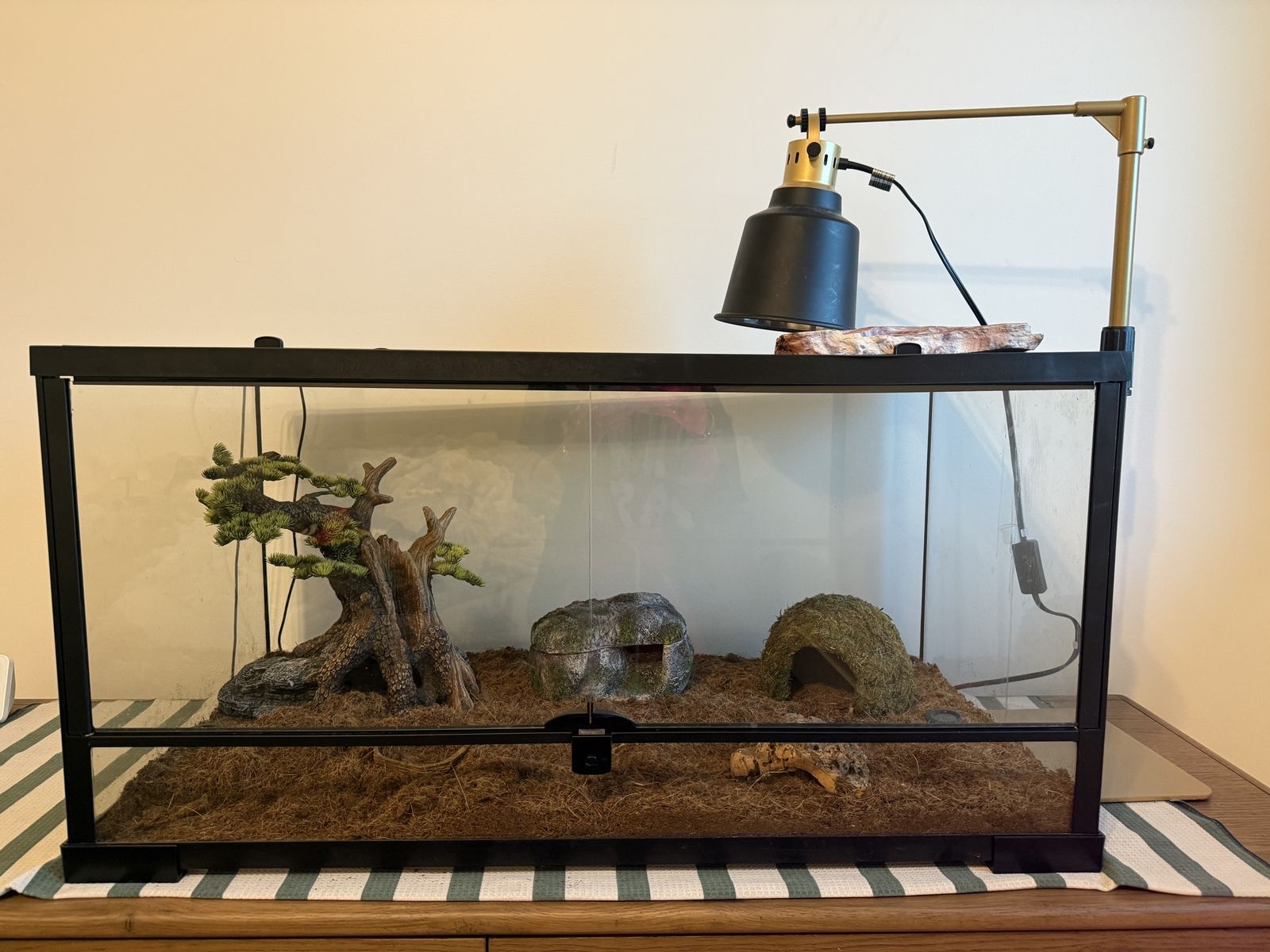 Main image 7