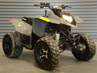 2021 Polaris Phoenix 200 For sale!