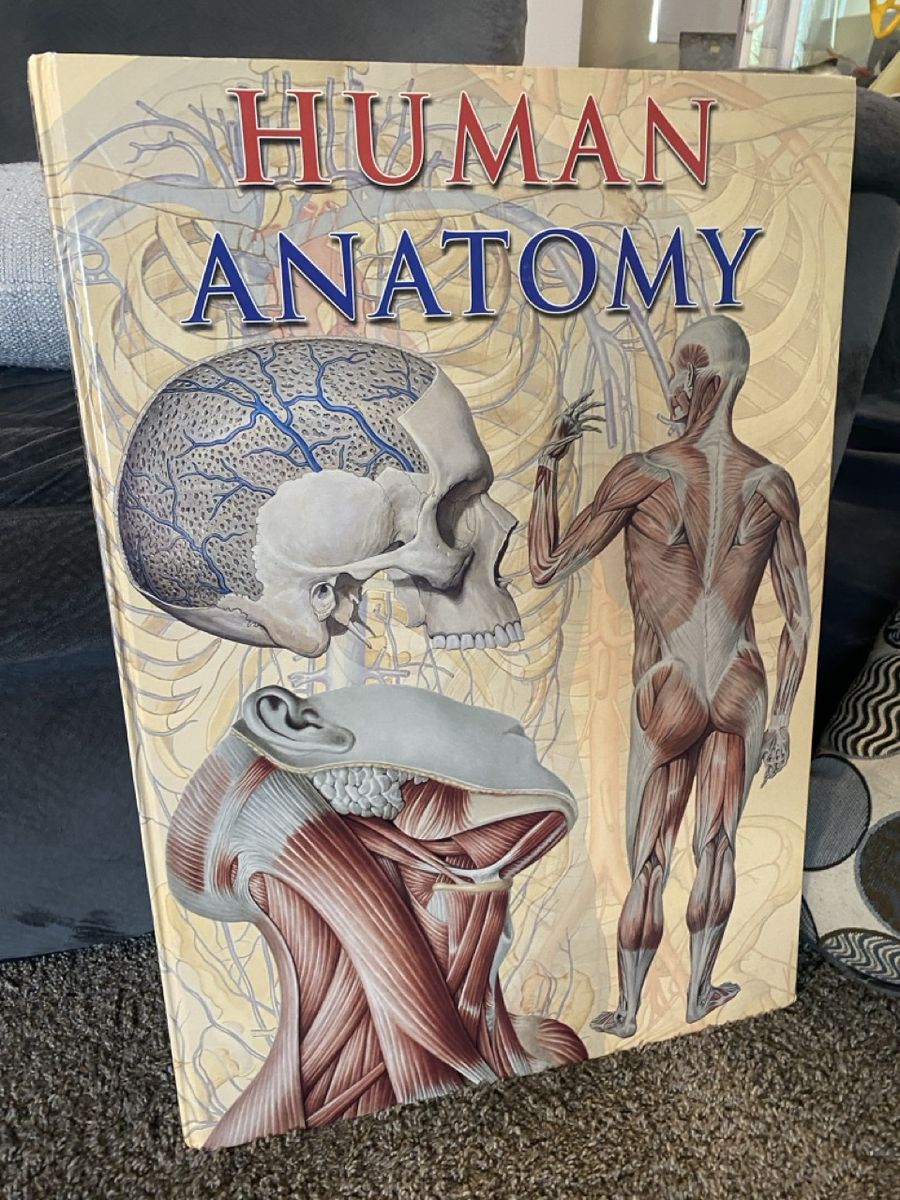 Giant Human Anatomy Book