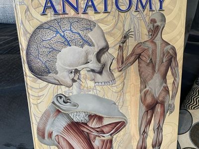 Giant Human Anatomy Book