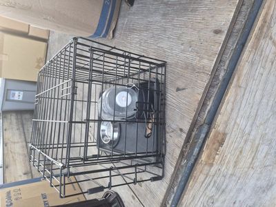 dog cage