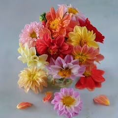 Dahlias