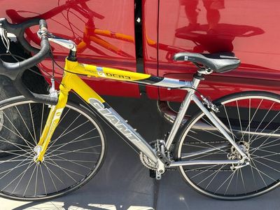 Giant ocr3