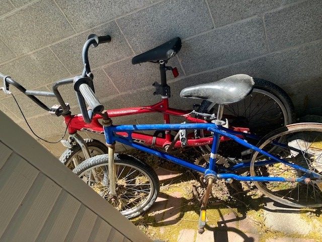 Schwinn Bikes Scrambler and Predator