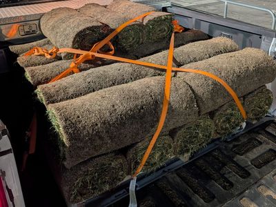 FRESH Hobbs Turf- SOD