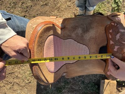 Bar-H Equine Saddle