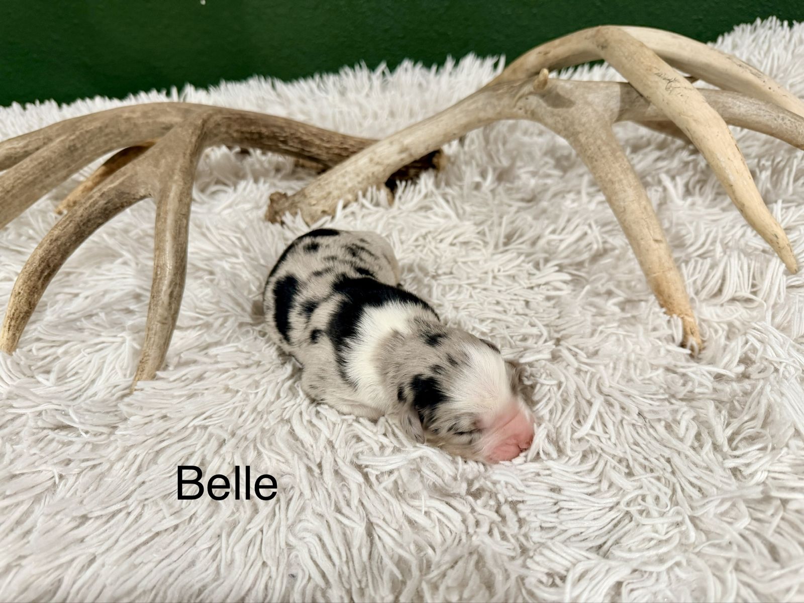 Main image 7