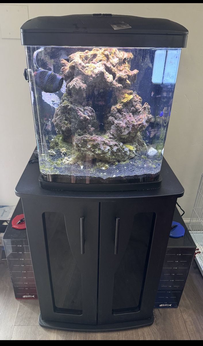 Coralife BioCube 16-Gallon Complete Saltwater Aquarium Setup With Stand — $375 OBO