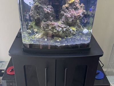 Coralife BioCube 16-Gallon Complete Saltwater Aquarium Setup With Stand — $375 OBO