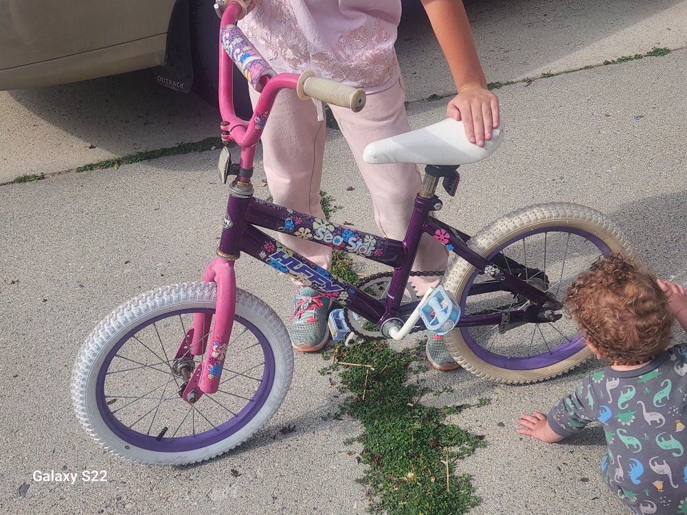 16 inch Girls Bike